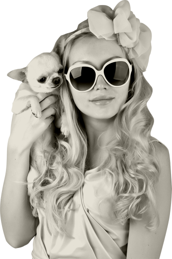 girl-with-chihuahua-345x517